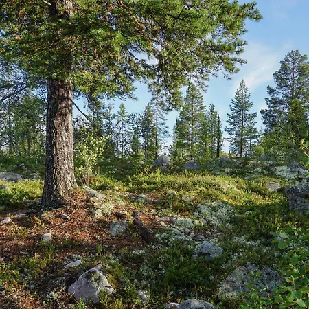 Gorgeous In With Sauna Дом отдыха Rendalen